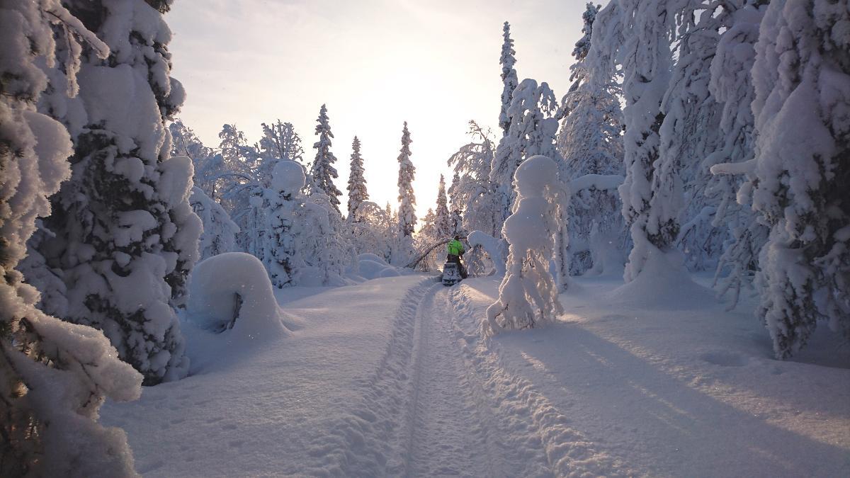Lapland Snow Cabin Masugnsbyn Exterior foto
